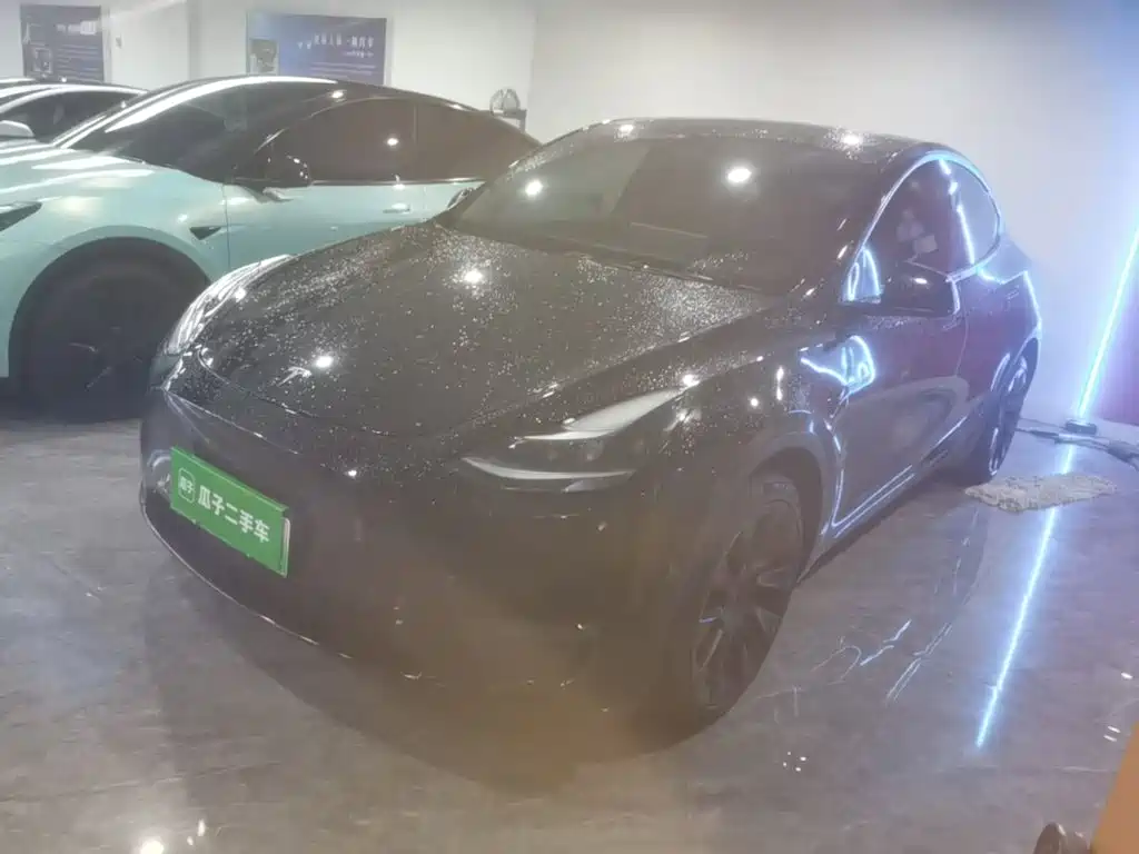 Tesla Model Y — фото 2