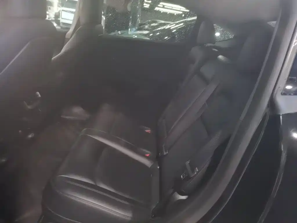 Tesla Model Y — фото 13