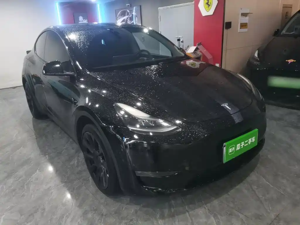 Tesla Model Y — фото 22