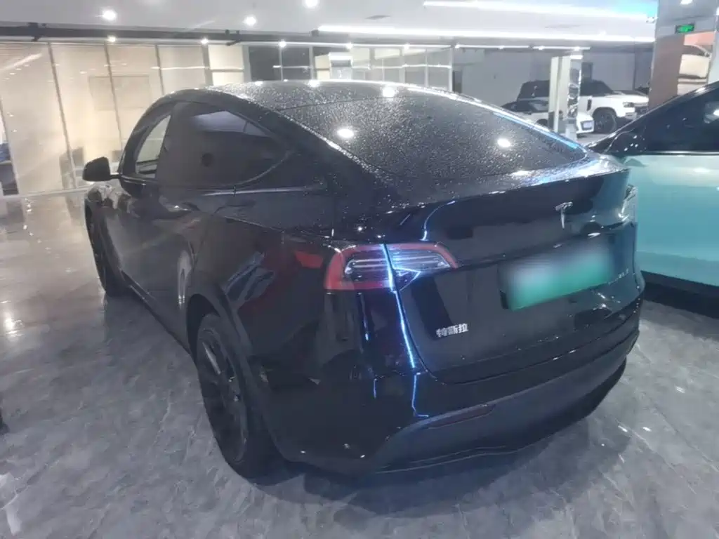 Tesla Model Y — фото 23
