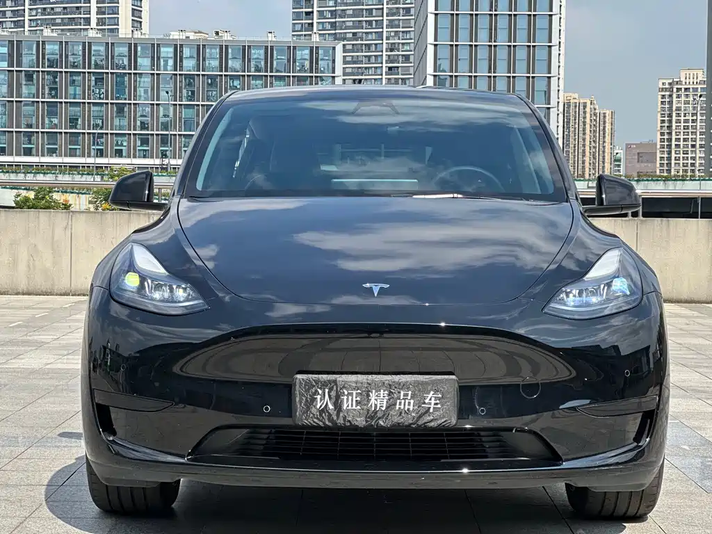 Tesla Model Y — фото 2