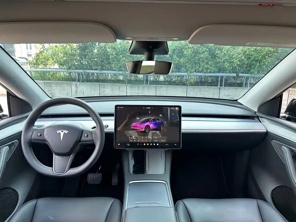 Tesla Model Y — фото 13