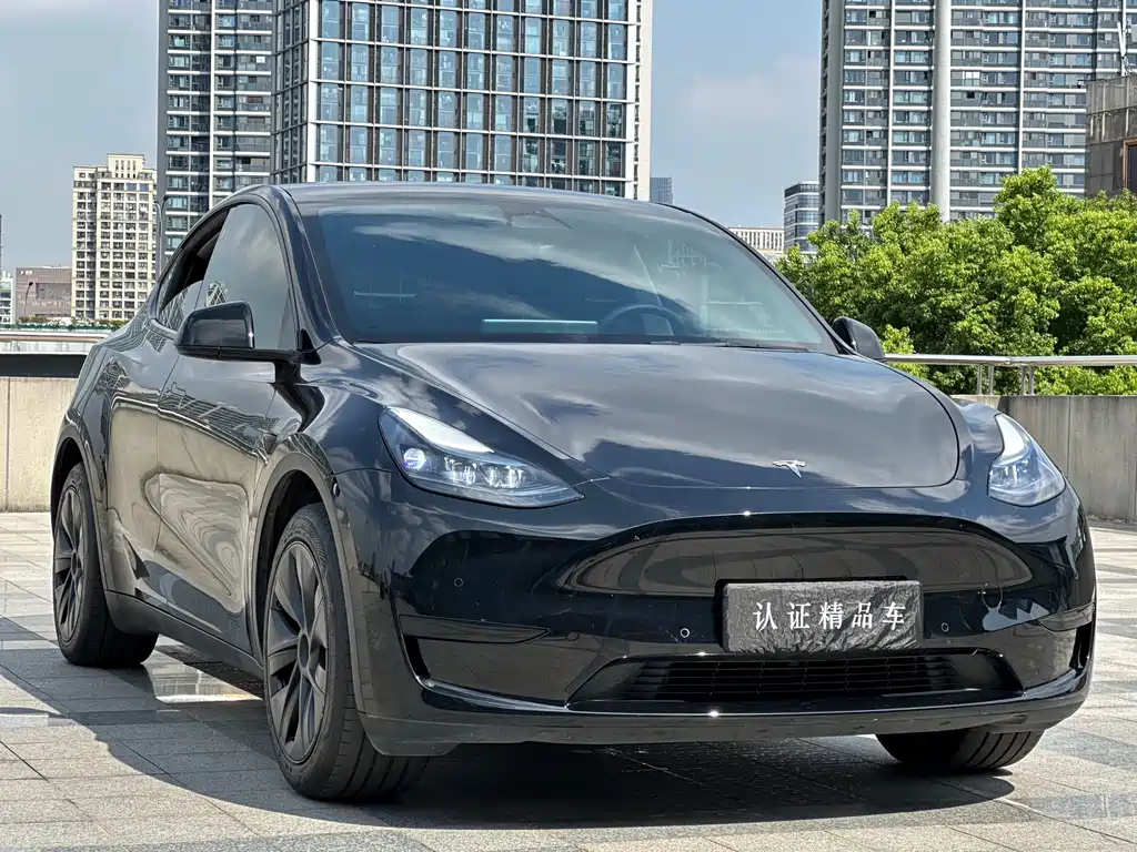 Tesla Model Y — фото 3