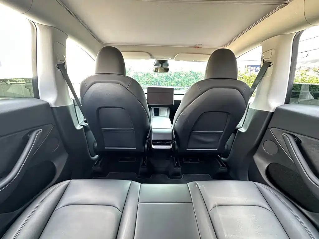Tesla Model Y — фото 23