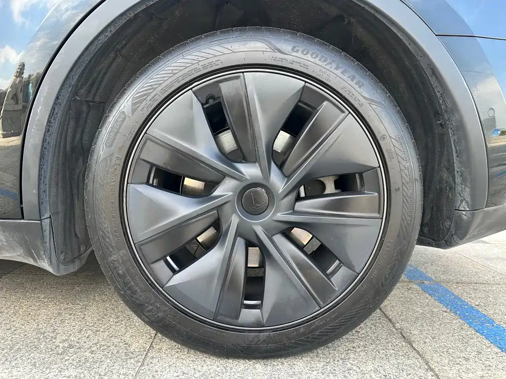 Tesla Model Y — фото 29