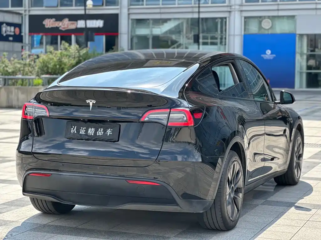 Tesla Model Y — фото 5