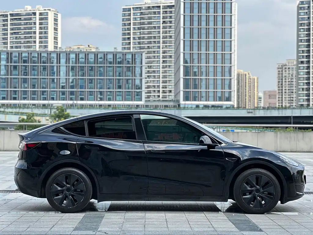 Tesla Model Y — фото 8