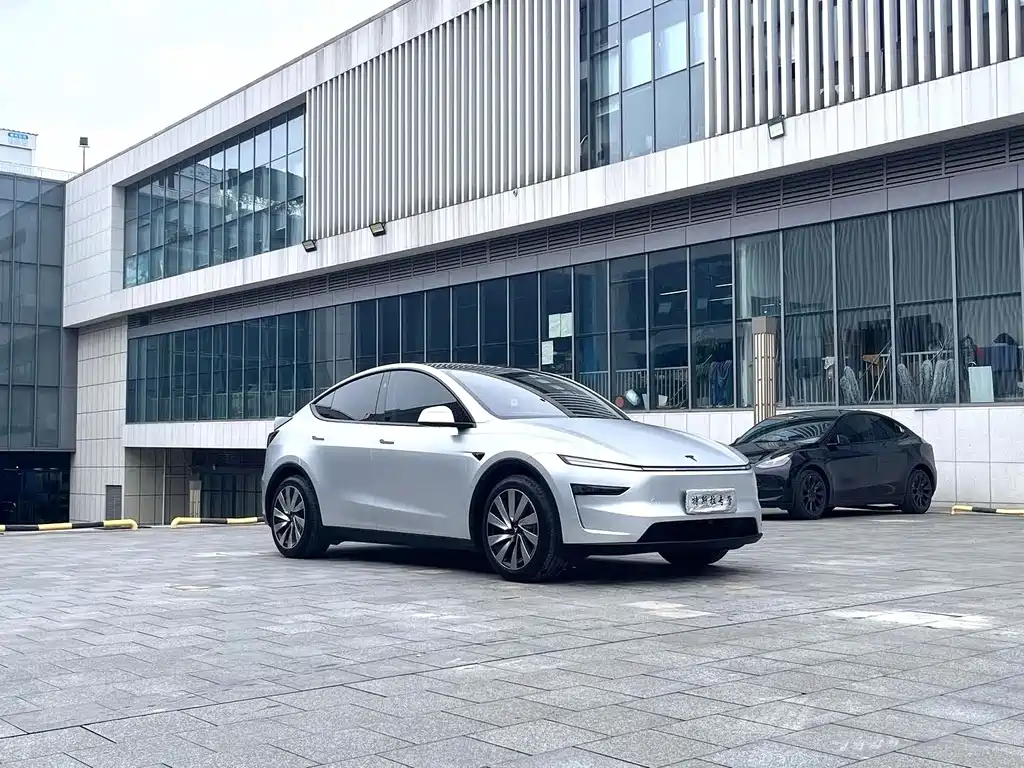 Tesla Model Y — фото 2