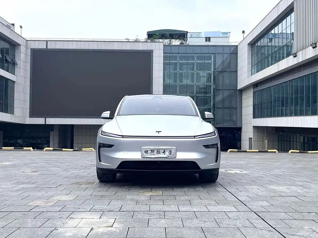 Tesla Model Y — фото 3
