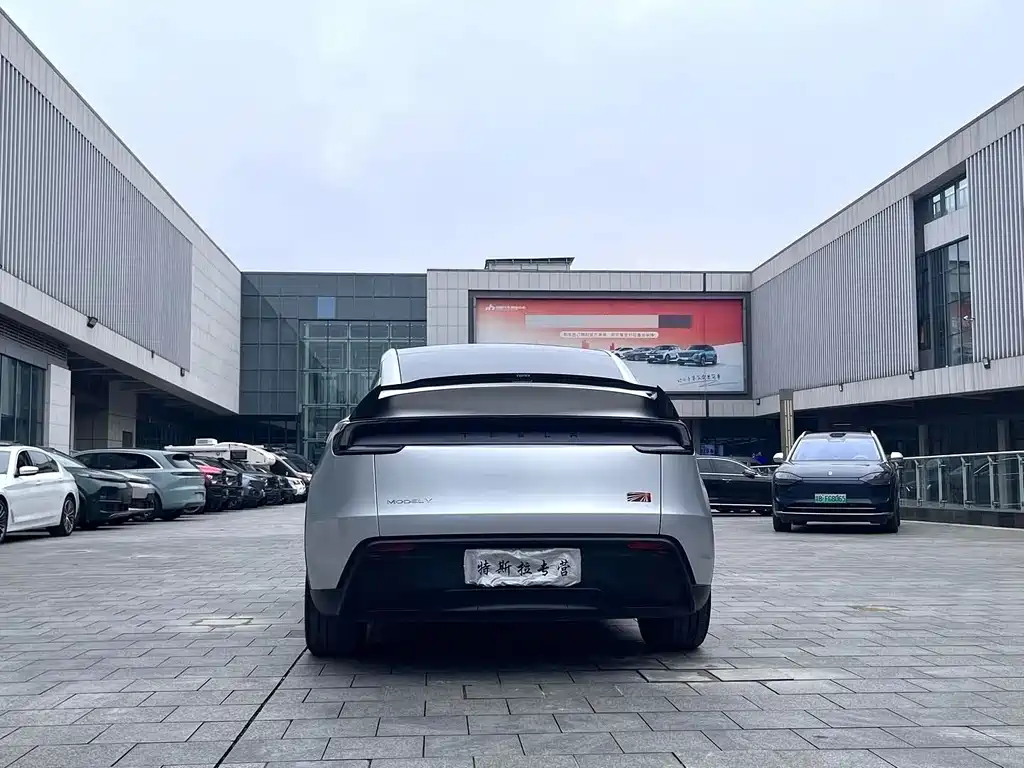 Tesla Model Y — фото 5