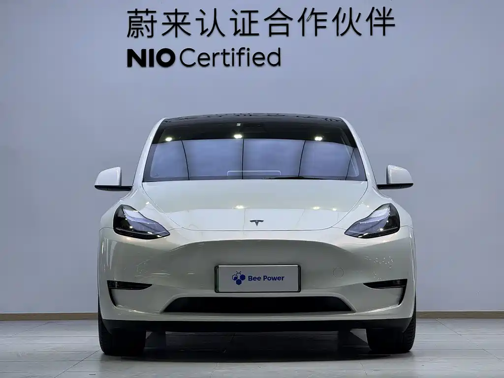 Tesla Model Y — фото 2
