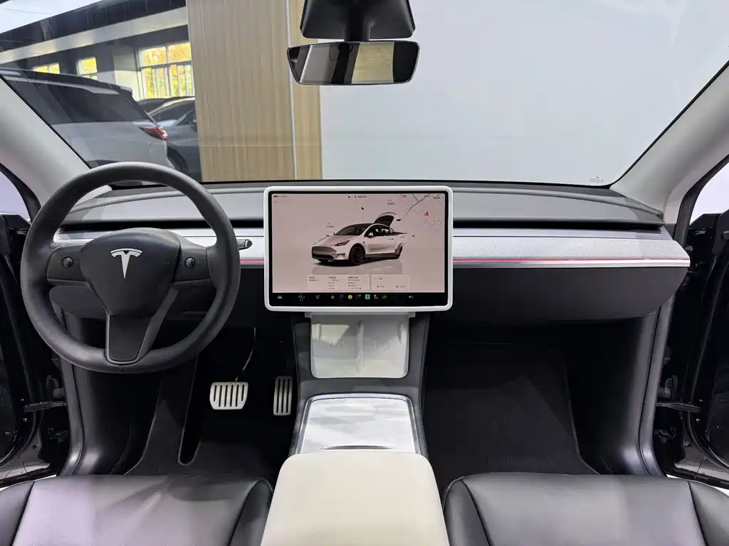 Tesla Model Y — фото 18
