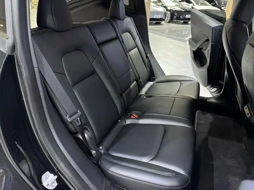 Tesla Model Y — фото 22