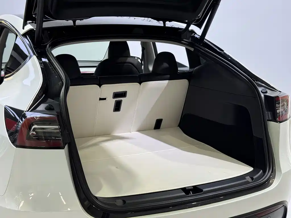 Tesla Model Y — фото 23