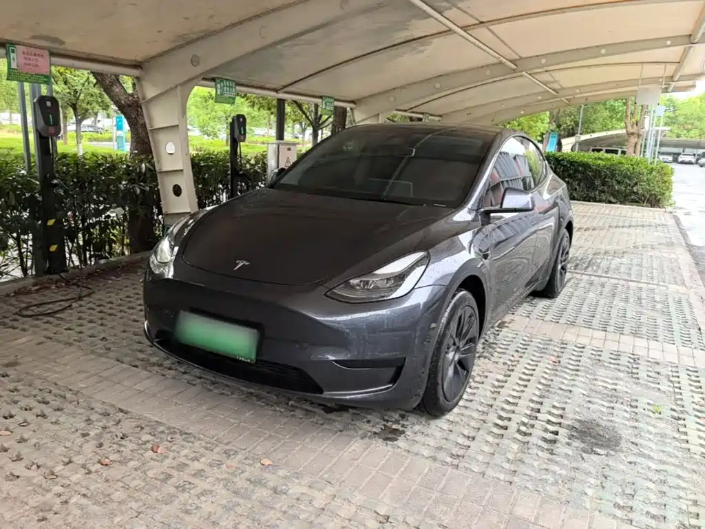 Tesla Model Y — фото 2