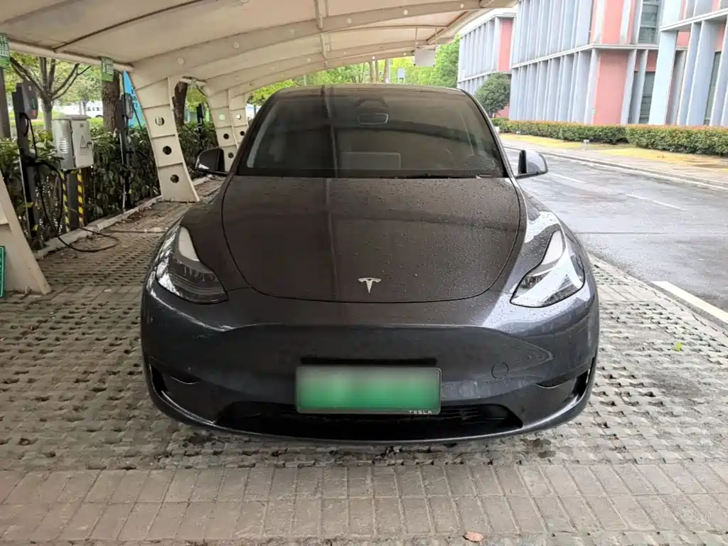 Tesla Model Y — фото 3