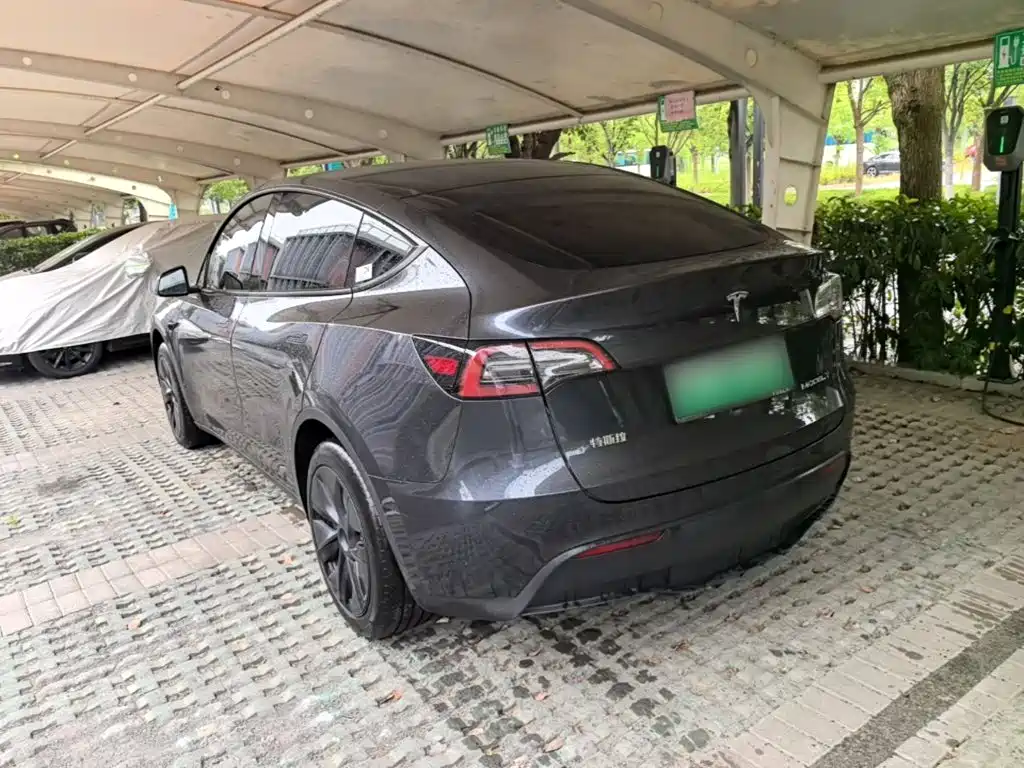 Tesla Model Y — фото 5