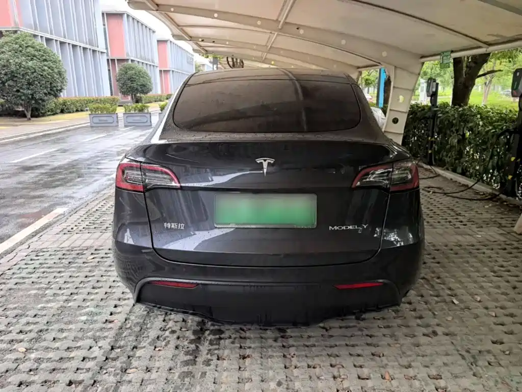 Tesla Model Y — фото 6