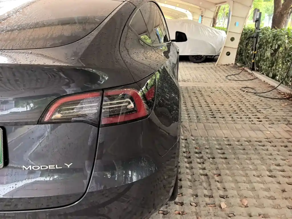 Tesla Model Y — фото 8
