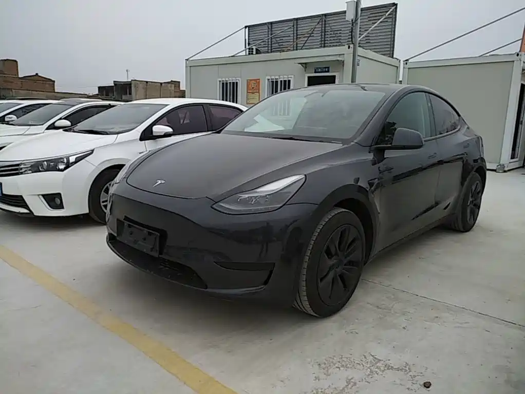 Tesla Model Y — фото 2