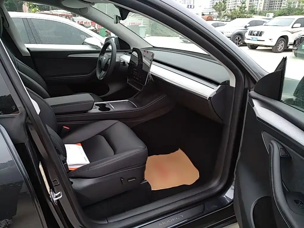 Tesla Model Y — фото 20