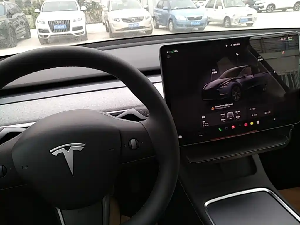 Tesla Model Y — фото 10