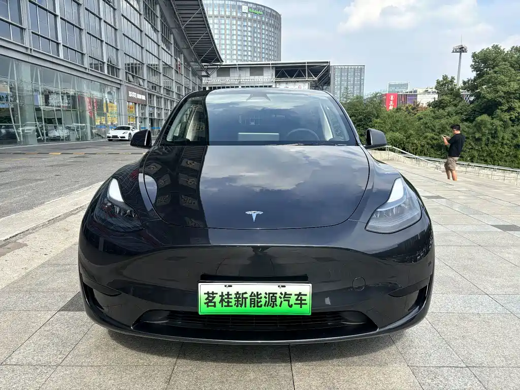 Tesla Model Y — фото 2