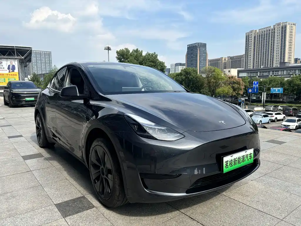 Tesla Model Y — фото 3