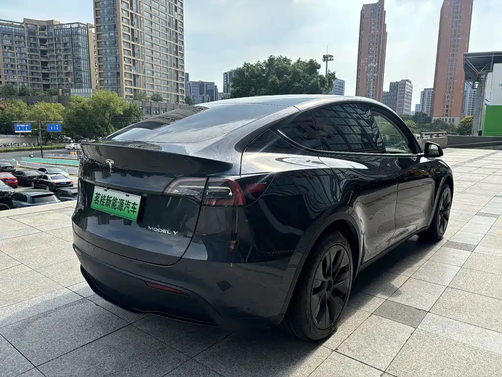 Tesla Model Y — фото 5