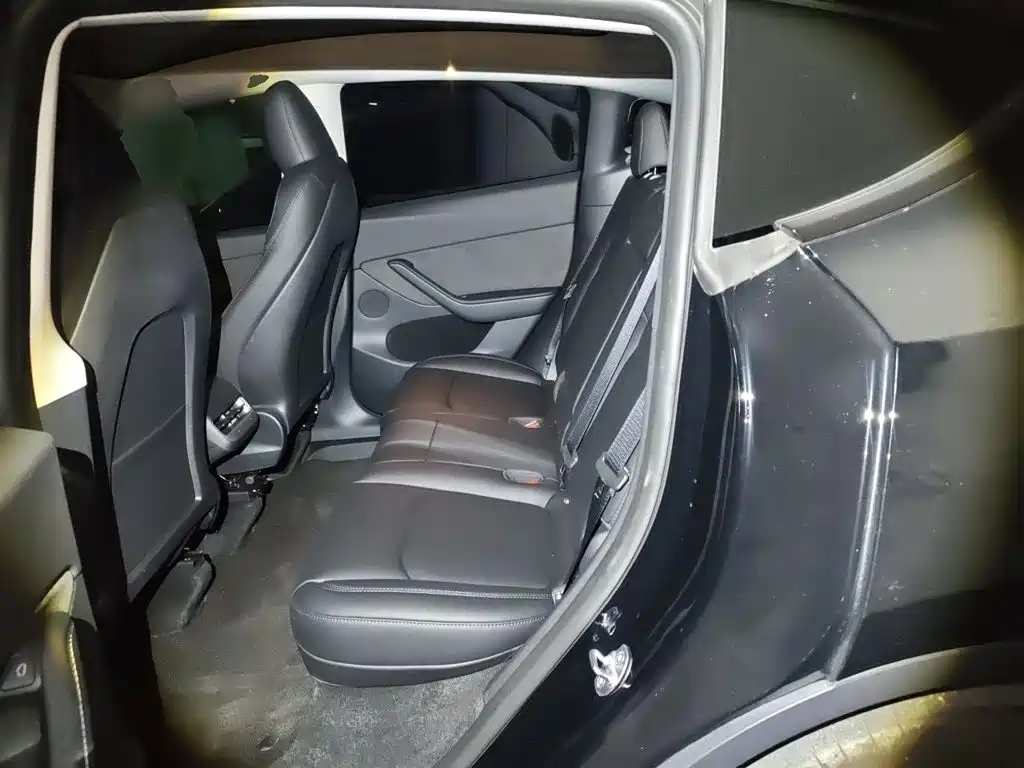 Tesla Model Y — фото 18
