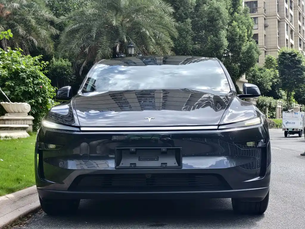 Tesla Model Y — фото 2