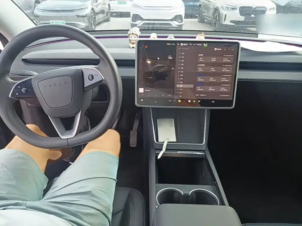 Tesla Model Y — фото 10