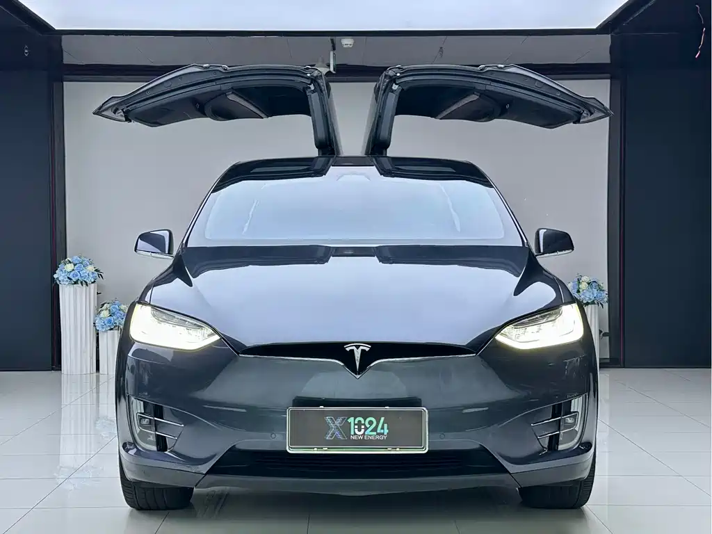 Tesla Model X — фото 2