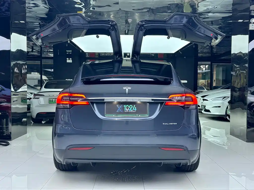 Tesla Model X — фото 6