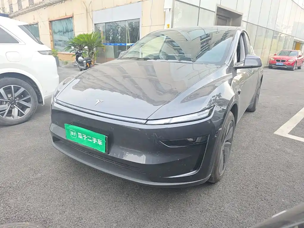 Tesla Model Y — фото 2