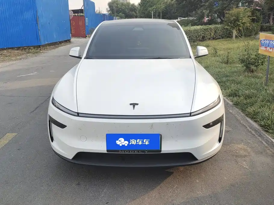 Tesla Model Y — фото 2