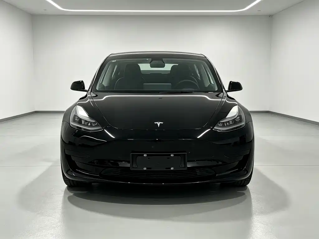 Tesla Model 3 — фото 2