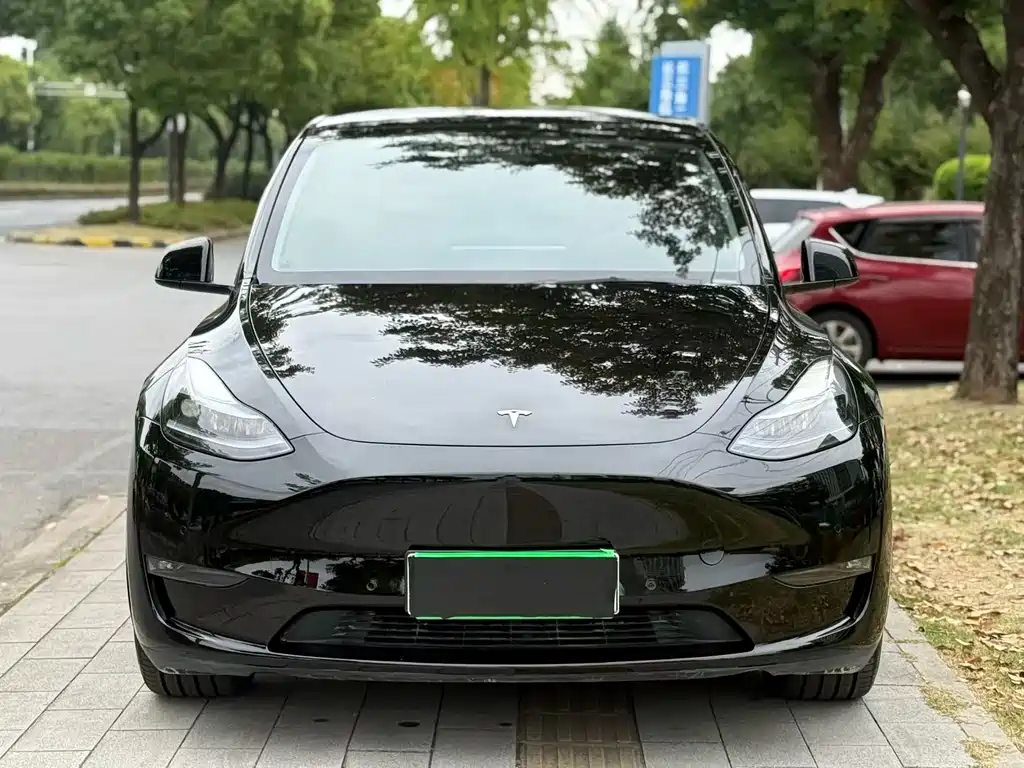 Tesla Model Y — фото 2