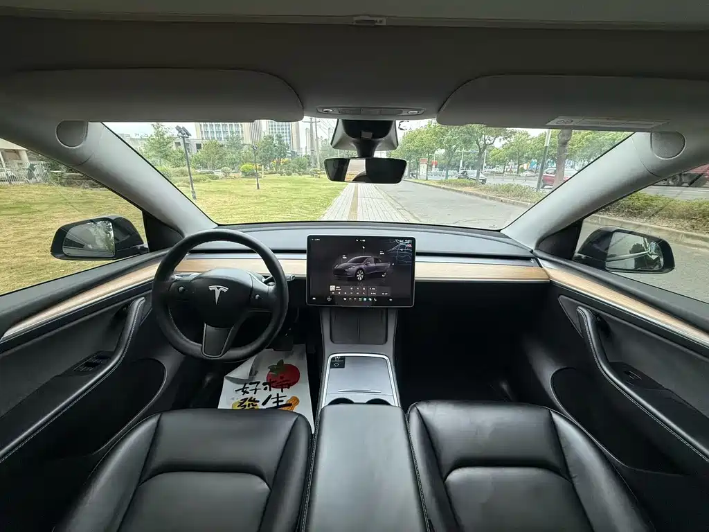 Tesla Model Y — фото 5