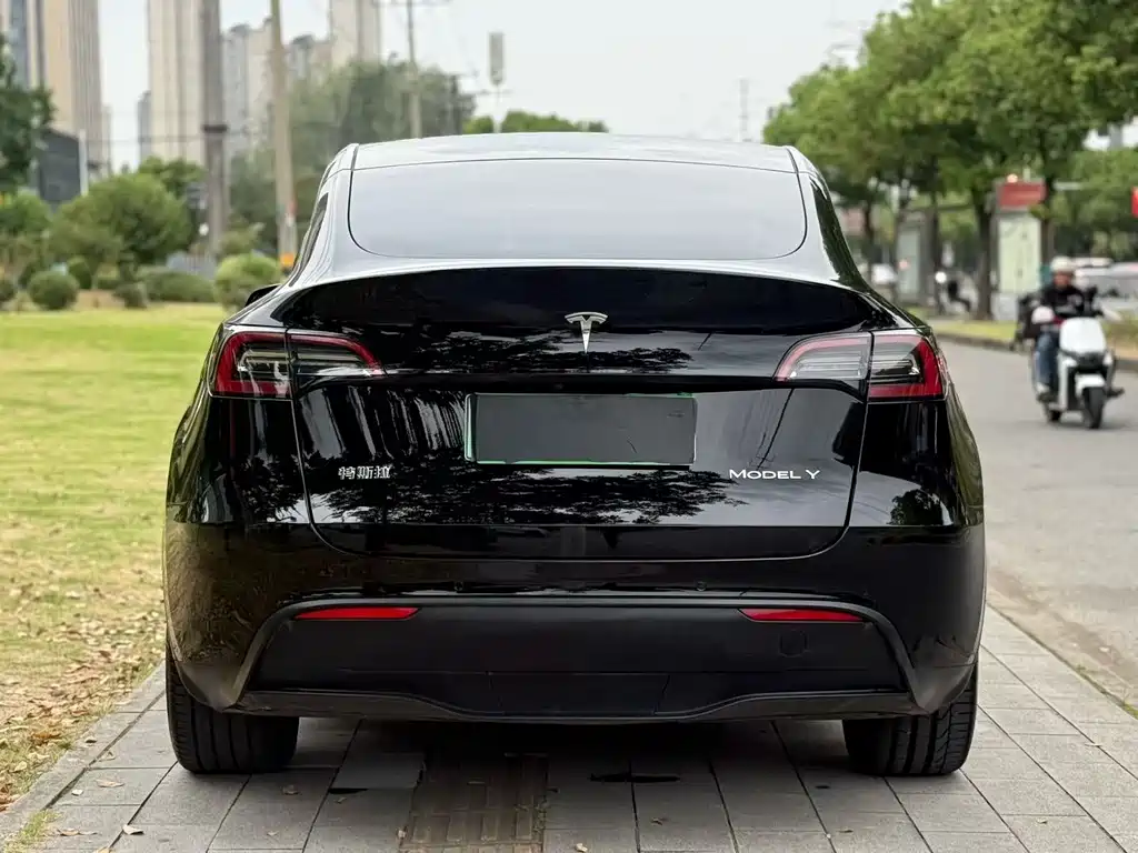 Tesla Model Y — фото 8