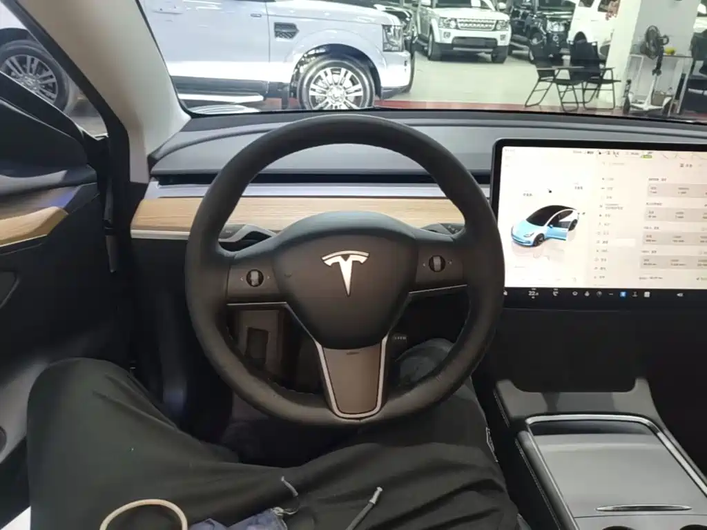 Tesla Model 3 — фото 11