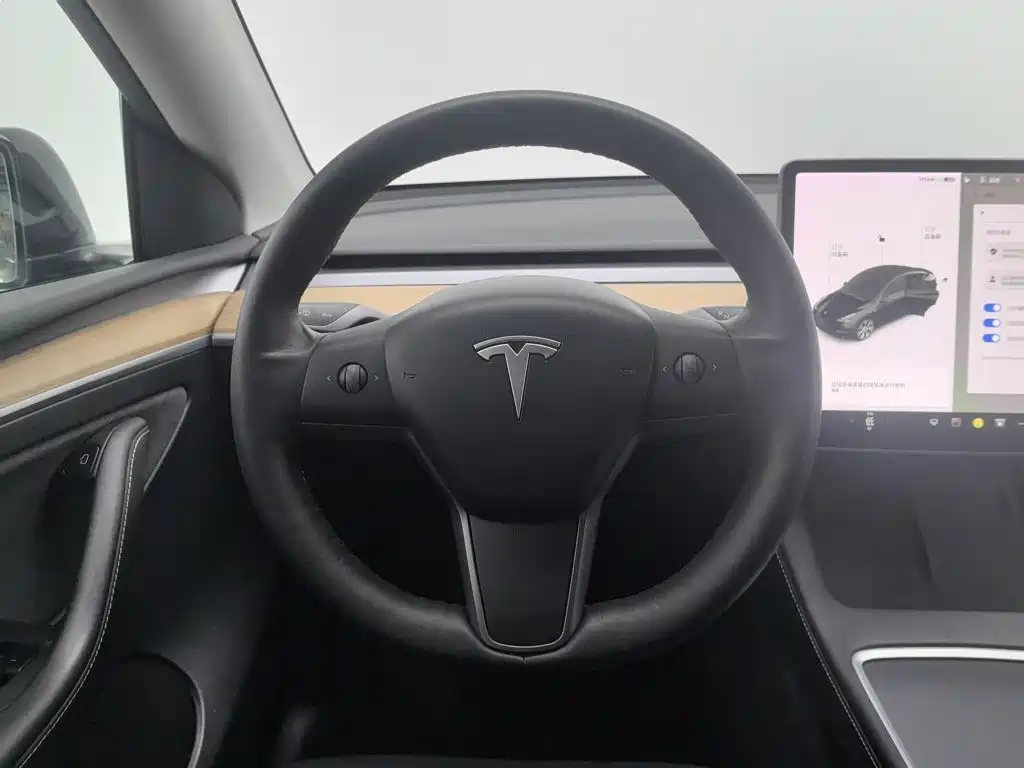 Tesla Model Y — фото 11