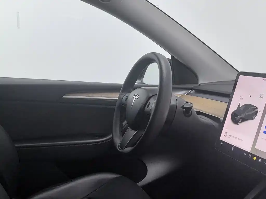 Tesla Model Y — фото 22