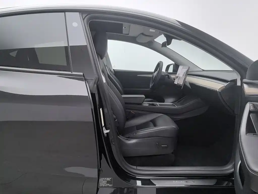 Tesla Model Y — фото 23