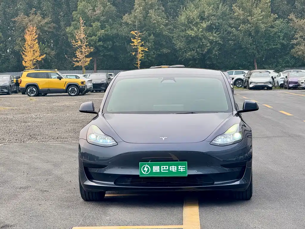 Tesla Model 3 — фото 2