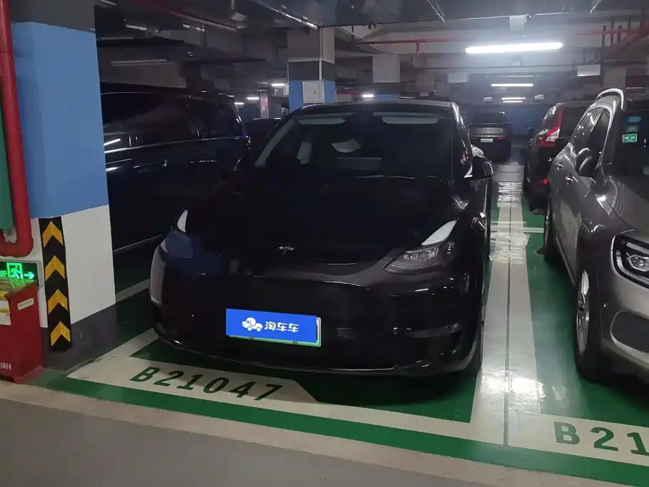 Tesla Model Y — фото 2