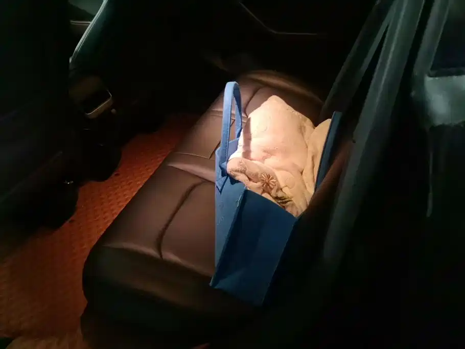 Tesla Model Y — фото 11