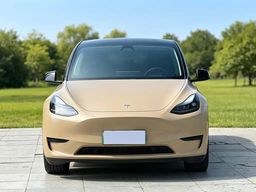Tesla Model Y — фото 2