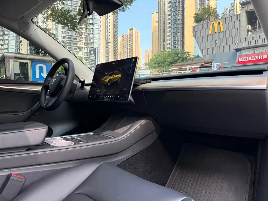 Tesla Model Y — фото 14