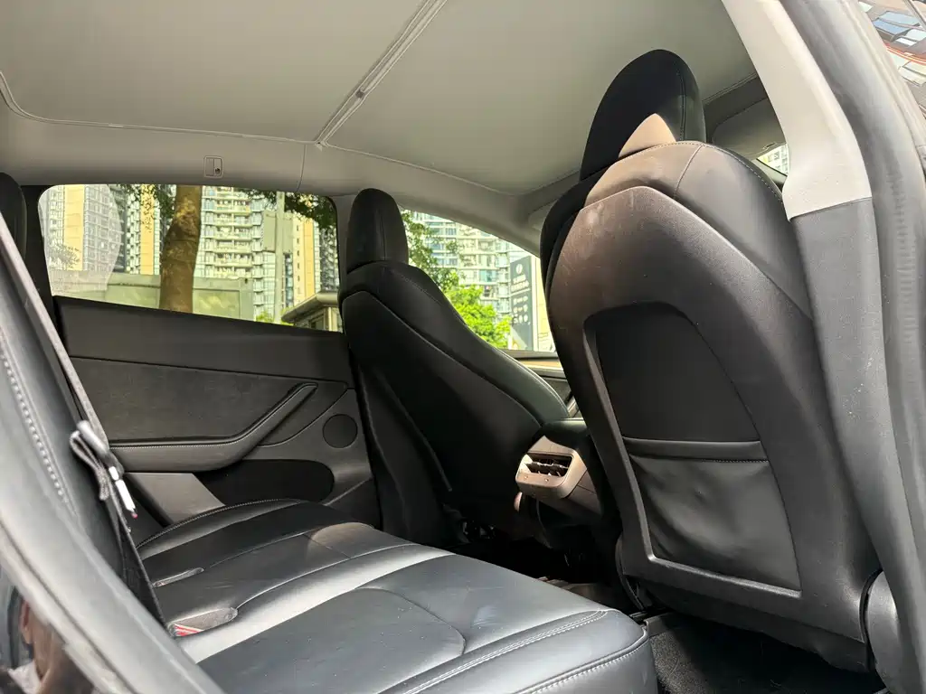 Tesla Model Y — фото 16
